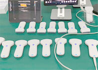 5 مگاهرتز USB Palm Probe متصل به سونوگرافی رنگی Ipad