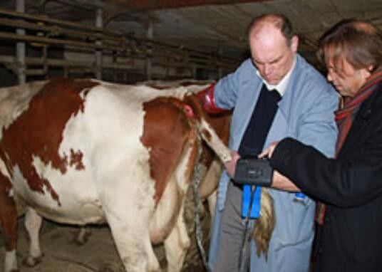 اسکنر سونوگرافی دیجیتال دامپزشکی